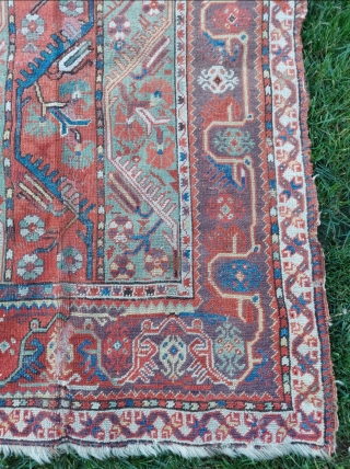 Middle of 19th. Century Milas Rug size: 103 x 146 cm                      