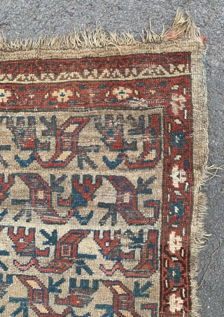 Smashed but cool old school nwp rug. Has a bakshaesh feel but maybe just a weird village rug from north west Persia. Priced according to its condition.      