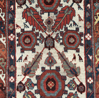 19th century Kurdish long rug with a so called shush kebab design. Good condition.                   