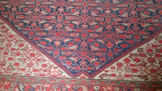 Old decorative Malayer carpet
size: cm.390*290
Very good condition,no repairs,stunning dyes
                        