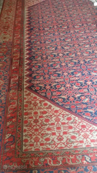 Old decorative Malayer carpet
size: cm.390*290
Very good condition,no repairs,stunning dyes
                        