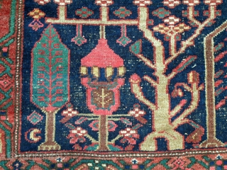 A Persian Bakhtiyar tribal rug
Age : End 19th century or 1st half of 20th century
size is 206 x 109cm or 6.9 x 4.2ft

For inquiries you can contact me by email or +92  ...