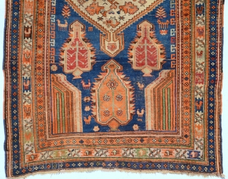 Caucasian Yellow Shirvan (Shikly) rug, end 19th centruy or 1st half 20th century. size is 184 x 122 cm or 6.0 x 4.0 ft         