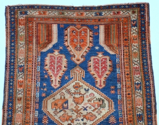 Caucasian Yellow Shirvan (Shikly) rug, end 19th centruy or 1st half 20th century. size is 184 x 122 cm or 6.0 x 4.0 ft         