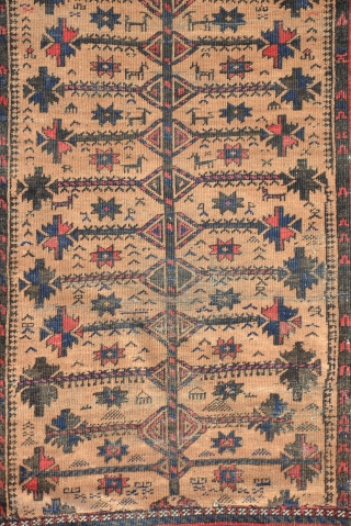 Baluch tree with lot of animals (fragment) late 19th century or 1st half of 20th century. size is 195 x 125 cm or 6.3 x 4.2       