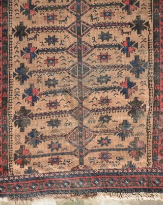 Baluch tree with lot of animals (fragment) late 19th century or 1st half of 20th century. size is 195 x 125 cm or 6.3 x 4.2       