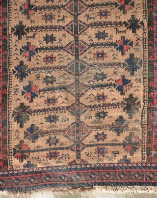 Baluch tree with lot of animals (fragment) late 19th century or 1st half of 20th century. size is 195 x 125 cm or 6.3 x 4.2       