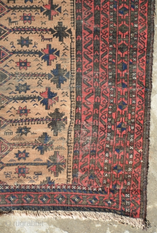 Baluch tree with lot of animals (fragment) late 19th century or 1st half of 20th century. size is 195 x 125 cm or 6.3 x 4.2       