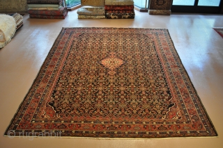 Large Antique Persian Rug.
Circa 1900 Handmade Vintage Persian Rug.
Please Visit link bellow.
http://elegantorientalrugs.com/antique-rugs/10-x-14-vintage-palace-size-persian-hamadan-circa-1920-s-rug-3937                     