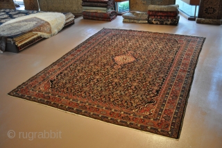 Large Antique Persian Rug.
Circa 1900 Handmade Vintage Persian Rug.
Please Visit link bellow.
http://elegantorientalrugs.com/antique-rugs/10-x-14-vintage-palace-size-persian-hamadan-circa-1920-s-rug-3937                     