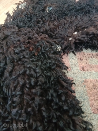 fantastic longhair sheep skin from northwest china alashan desert area. beautifull braun black fine wool. it dates from not later than beginning 20th century, as the material and making  is similar  ...