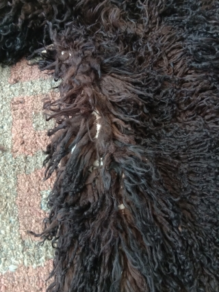 fantastic longhair sheep skin from northwest china alashan desert area. beautifull braun black fine wool. it dates from not later than beginning 20th century, as the material and making  is similar  ...