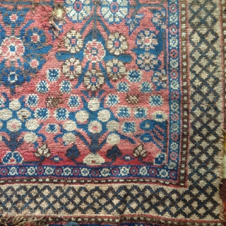 fragment of an early and  very rare east turkestan rug.warps and wefts are all camel hairs as the brown pile also is. it is quite thick but has also a very  ...