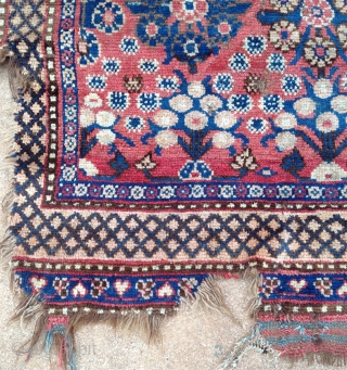 fragment of an early and  very rare east turkestan rug.warps and wefts are all camel hairs as the brown pile also is. it is quite thick but has also a very  ...