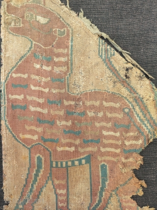 central Asian silk samite fragment 7-8th century, extremly rare tiger design..                      