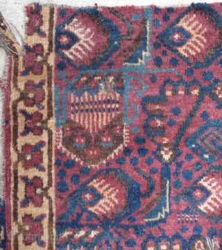 central asian rug fragment                             