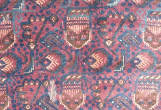 central asian rug fragment                             