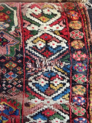 a fantastic north west persian kurdish rug with an incredible richness of colours, an amazing wool. best of type and possibly of the oldest with this design.      