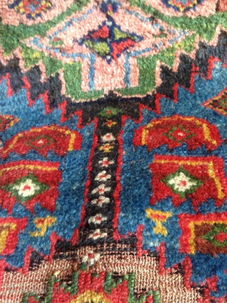 a fantastic north west persian kurdish rug with an incredible richness of colours, an amazing wool. best of type and possibly of the oldest with this design.      