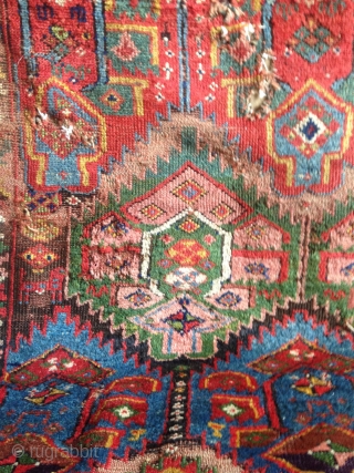 a fantastic north west persian kurdish rug with an incredible richness of colours, an amazing wool. best of type and possibly of the oldest with this design.      