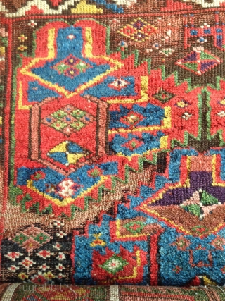 a fantastic north west persian kurdish rug with an incredible richness of colours, an amazing wool. best of type and possibly of the oldest with this design.      