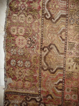 an early khotan fragment  in the khaden size (160cm), an interesting colors palette with an uncommon extensiv use of different golden yellow hue. fantastic wool and handle, cotton weft  mixed  ...