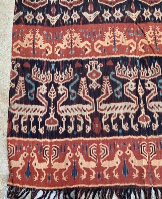 old hinggi man’s wrap  East Sumba cotton warp ikat 227x132cm.                      