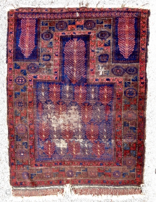 Extraordinary Timuri Baluch prayer rug (44"x 58"). Fine! Luxurious glossy wool. Ex. Craycraft collection. Mid 19th c. As good as they get!           