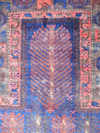 Extraordinary Timuri Baluch prayer rug (44"x 58"). Fine! Luxurious glossy wool. Ex. Craycraft collection. Mid 19th c. As good as they get!           