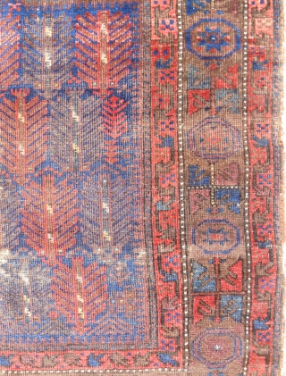 Extraordinary Timuri Baluch prayer rug (44"x 58"). Fine! Luxurious glossy wool. Ex. Craycraft collection. Mid 19th c. As good as they get!           