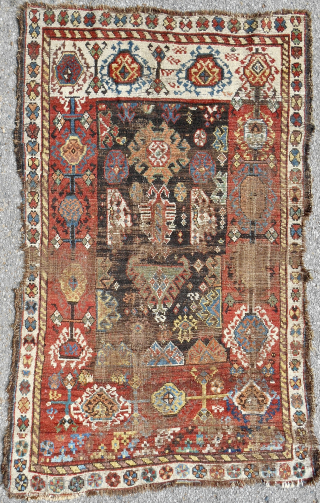 Whimsical and unique Qashqai Shekarlu rug. Circa 1850-70. Small 38" x 62". Terrific color. Email: patrickpouler@gmail.com                 