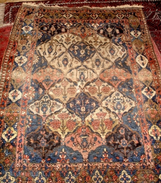 Old Bakhtiari rug. It has a line of abrash and a small tear in the middle. Supple wool and very nice, saturated colors, difficult to get them photographed correctly. 
The rug has  ...