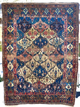 Old Bakhtiari rug. It has a line of abrash and a small tear in the middle. Supple wool and very nice, saturated colors, difficult to get them photographed correctly. 
The rug has  ...