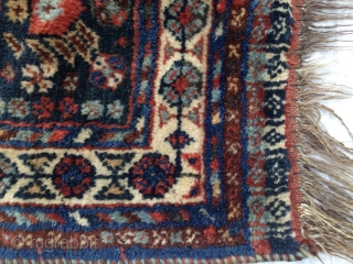 Double niche rug. Qashqai or Basseri?

119x81cm/ 3' 11" x 2' 8''                      