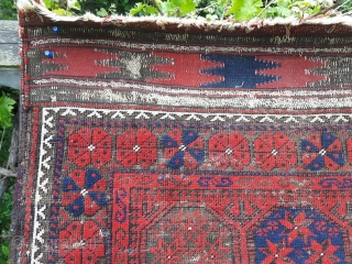 Starry Baluch with kilims.
Like Boucher's plate 46 but with nicer rosette border. Quainat?
                    