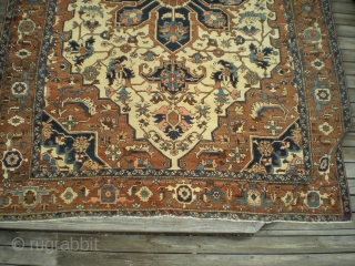 Antique large Persian Heriz or Karaja, Serapi quality (10' 1" x 13' 5") with uncommon ivory field and rust field (more brown than red), uncluttered design, very finely woven and very well  ...