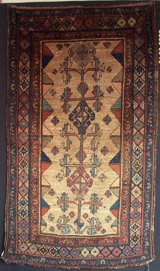 19th century Kurdish/Persian rug in excellent condition.                          