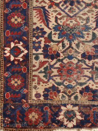 "Just living is not enough... one must have sunshine, freedom, and a little flower." Hans Christian Andersen Baluch rug, North-east Persia, 19th century, a real mastperpiece of its kind. All organic, deeply  ...