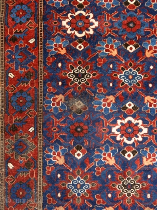 "Why should I be unhappy? Every parcel of my being is in full bloom." Rumi, 13th century, Baluch rug, Ferdows area, North-east Persia, 19th century. Wool on cotton with goat hair side  ...