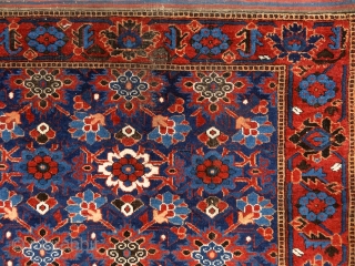 "Why should I be unhappy? Every parcel of my being is in full bloom." Rumi, 13th century, Baluch rug, Ferdows area, North-east Persia, 19th century. Wool on cotton with goat hair side  ...