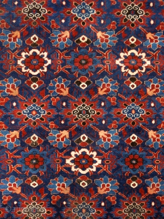 "Why should I be unhappy? Every parcel of my being is in full bloom." Rumi, 13th century, Baluch rug, Ferdows area, North-east Persia, 19th century. Wool on cotton with goat hair side  ...