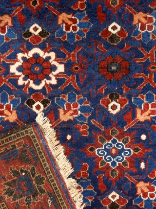 "Why should I be unhappy? Every parcel of my being is in full bloom." Rumi, 13th century, Baluch rug, Ferdows area, North-east Persia, 19th century. Wool on cotton with goat hair side  ...