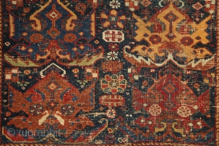 Afshar 'shield/palmettes/flame' rug, wool on wool, 1,68 x 1,23 m. Real, precommercial, tribal piece from the 2nd half of 19th century, worn allover, but still has a shining charisma and fresh organic  ...
