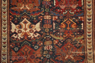 Afshar 'shield/palmettes/flame' rug, wool on wool, 1,68 x 1,23 m. Real, precommercial, tribal piece from the 2nd half of 19th century, worn allover, but still has a shining charisma and fresh organic  ...