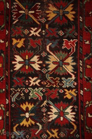 CELEBRATION OF COLORS.... Gendje kazak rug with colors, colors and colors.... one of the best colored rugs i've ever had. All of them are natural of course, deeply saturated, fresh and striking....  ...