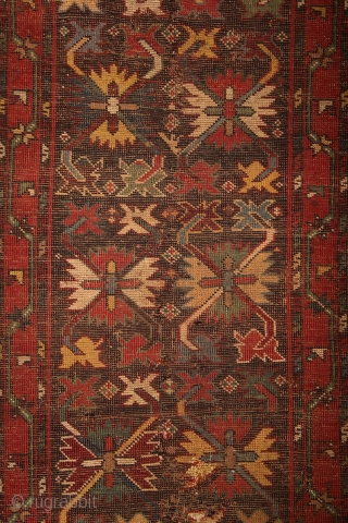 CELEBRATION OF COLORS.... Gendje kazak rug with colors, colors and colors.... one of the best colored rugs i've ever had. All of them are natural of course, deeply saturated, fresh and striking....  ...