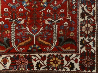 "The temple bell stops. But i still hear the sound coming out of the flowers." Matsuo Basho Bakhtiari rug, Persia, 19th century. Most probably somewhere in Chadar Mahal area ... This is  ...