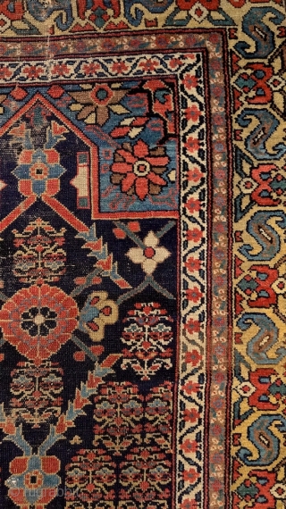 North-west persian kurdish 'double-mihrab' rug, 19th century. Non-commercial, tribal/village work with great colors & bold drawing. Ancient S-hooked border! Stylized dragons defending a blooming 'mina-khani' field of life. More pieces: http://rugrabbit.com/profile/5160  