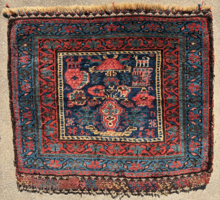 Kurdish pile bag face from north west Persia, 73 x 67 cm, full pile, good condition. Email: peparethos@xsmail.com
