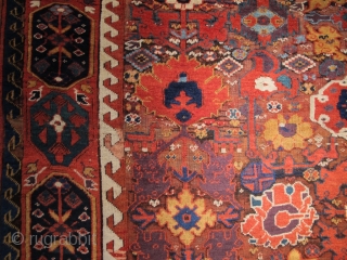 Kurdish weavings from Northwest Persia during the 18th and early 19th century are some of the most vibrant and dynamic from any region or group during the post-classical period. This magnificent Kurdish  ...